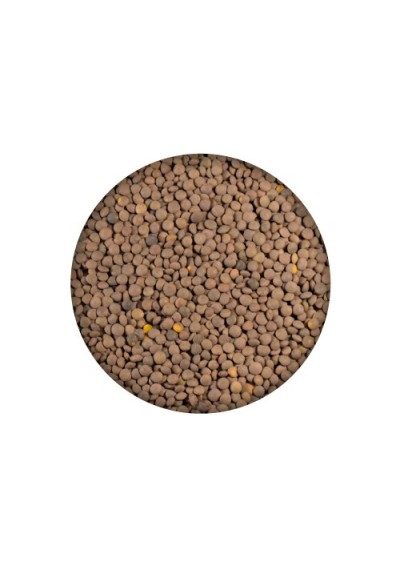Lenteja Pardina 5Kg El Maragato